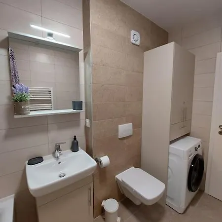 Altipiani Panoramic Silver Apartment Brasov