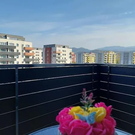 Altipiani Panoramic Silver Apartment Brasov